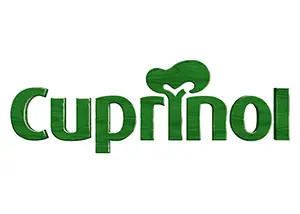 Cuprinol